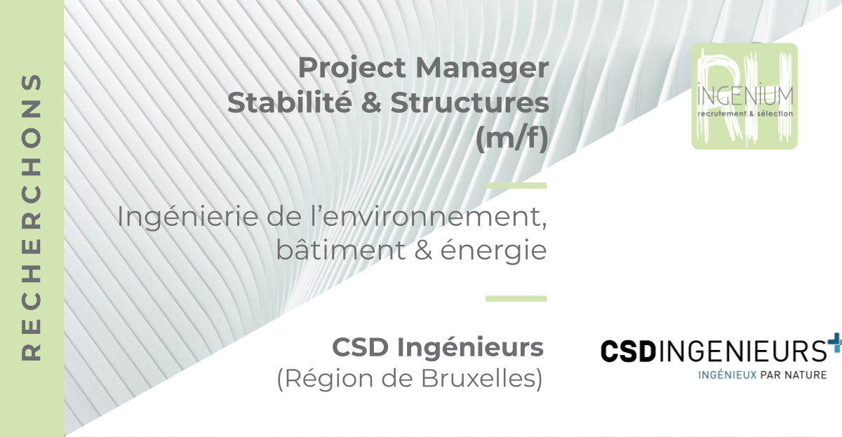 Nous recherchons : Project Manager Stabilité & Structures